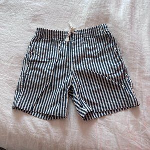 Blue and White Striped J. Crew Mens Shorts